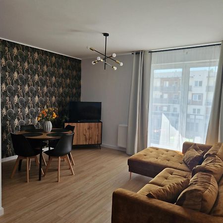 Apartament Staromiejski Rapackiego 45 Grudziądz Εξωτερικό φωτογραφία